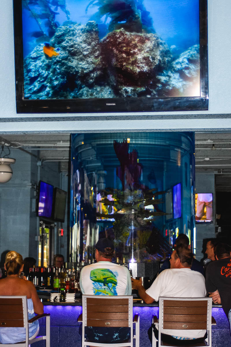 Jupiter Dive Bar indoor bar