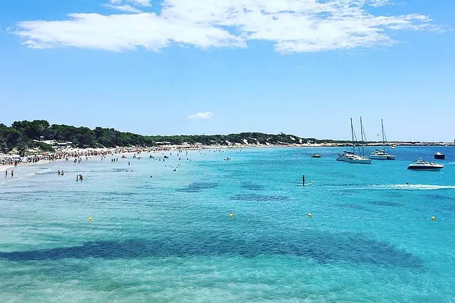 Salinas