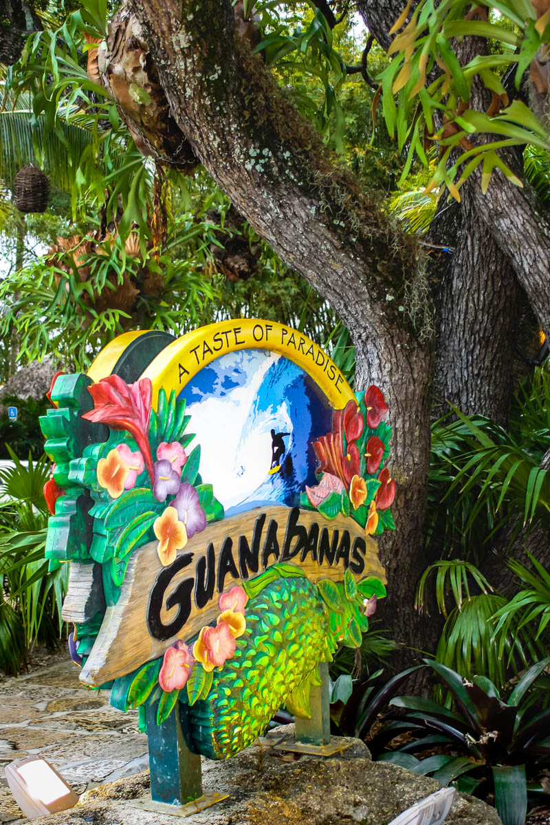 Jupiter Guanabanas
