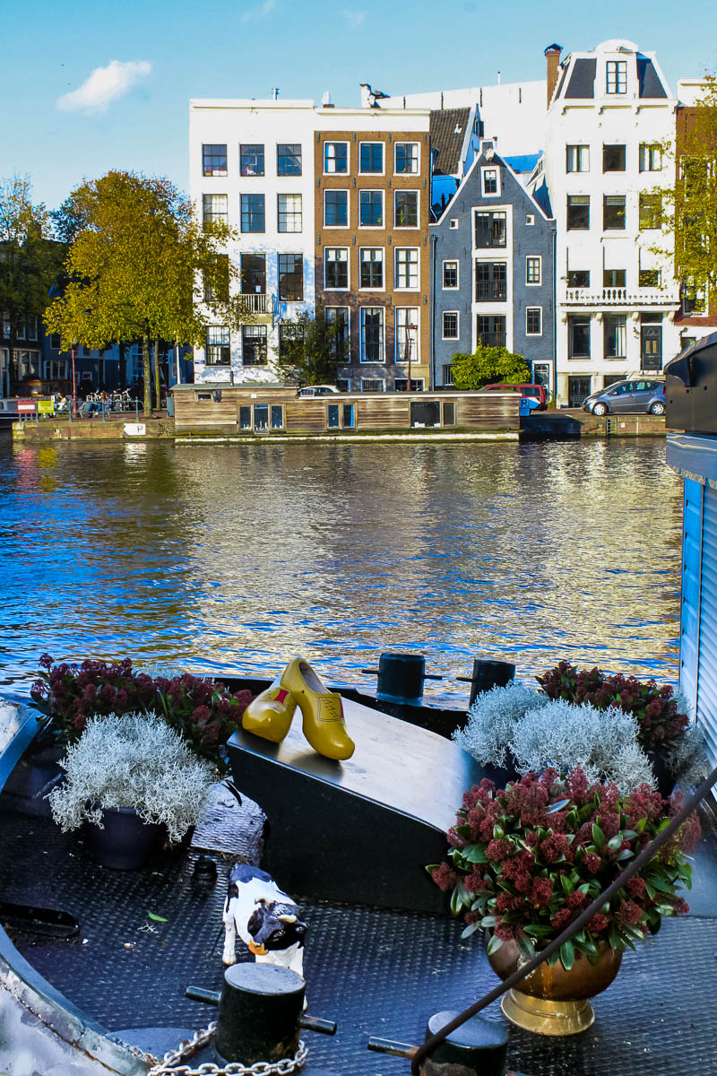 Amsterdam clogs and cows