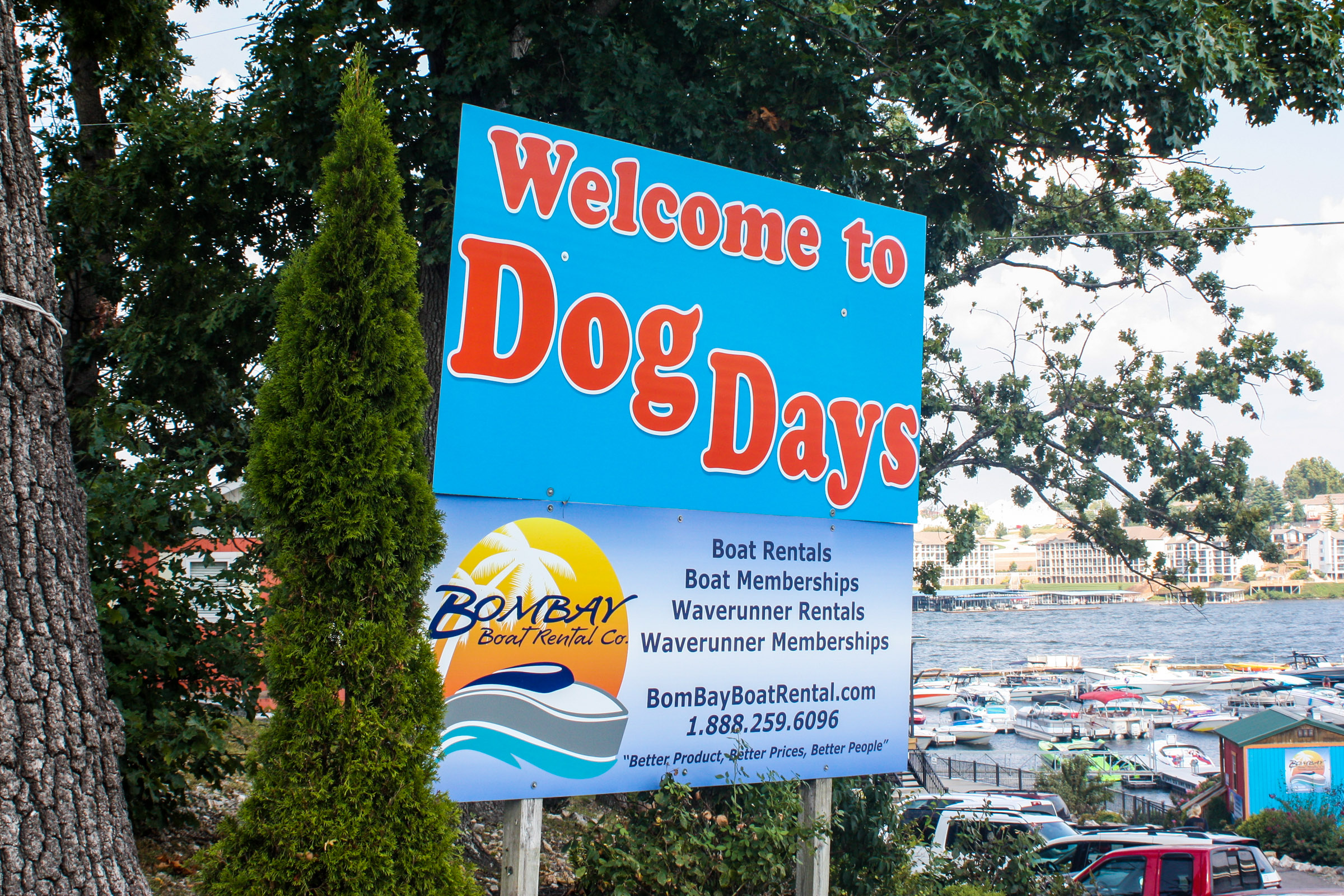 Dog Days Bar and Grill