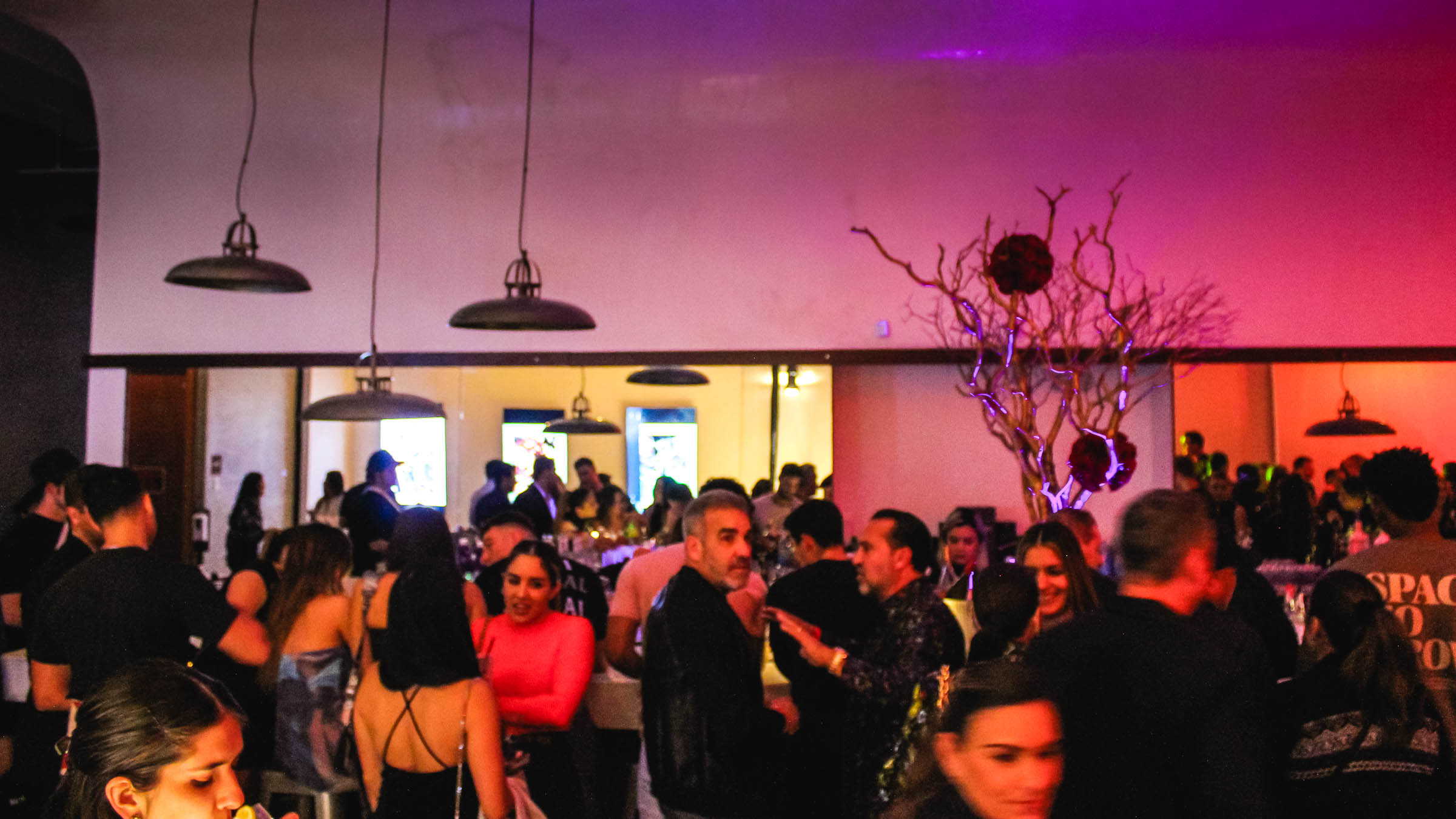 Back VIP room