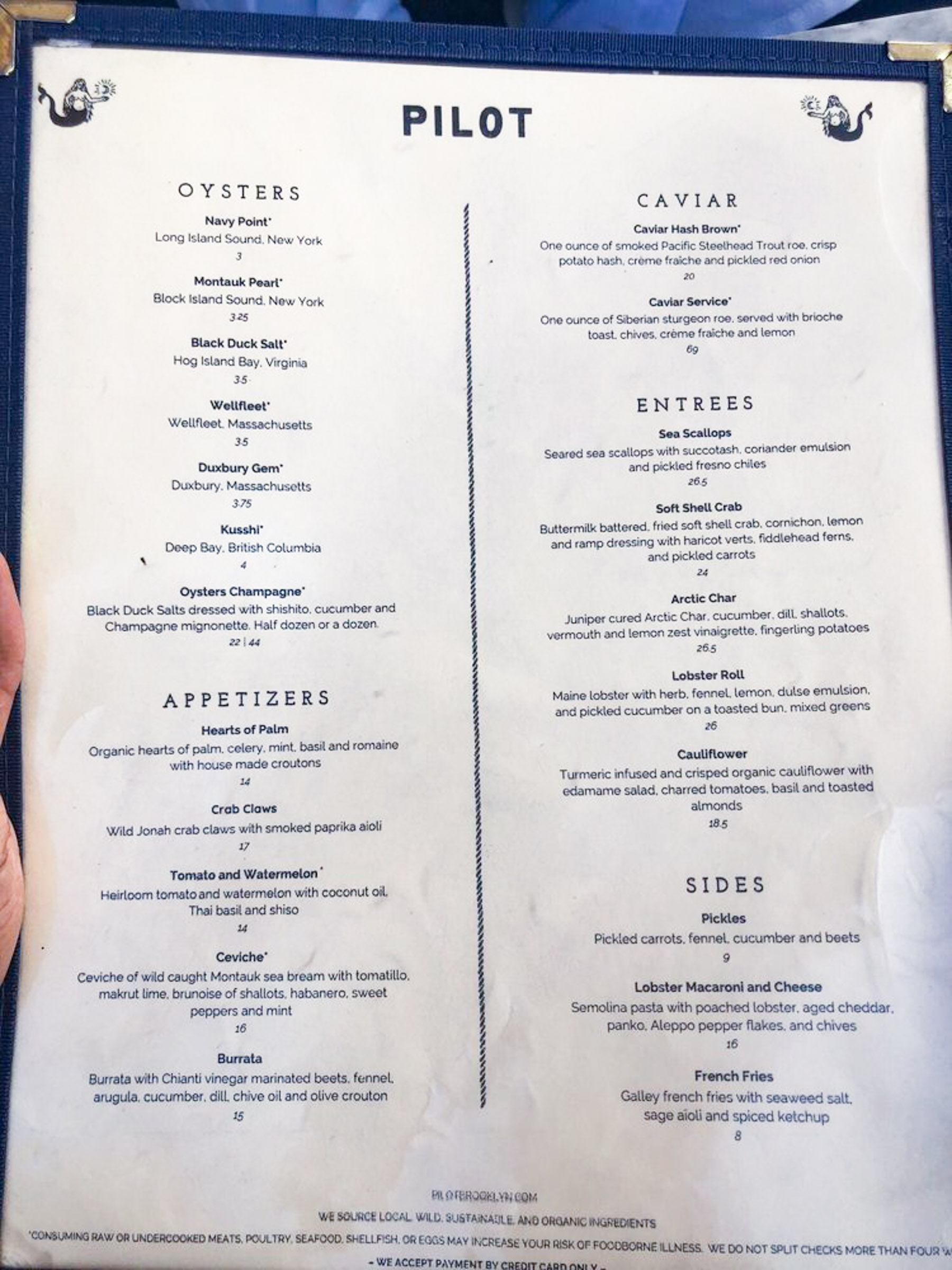Pilot menu